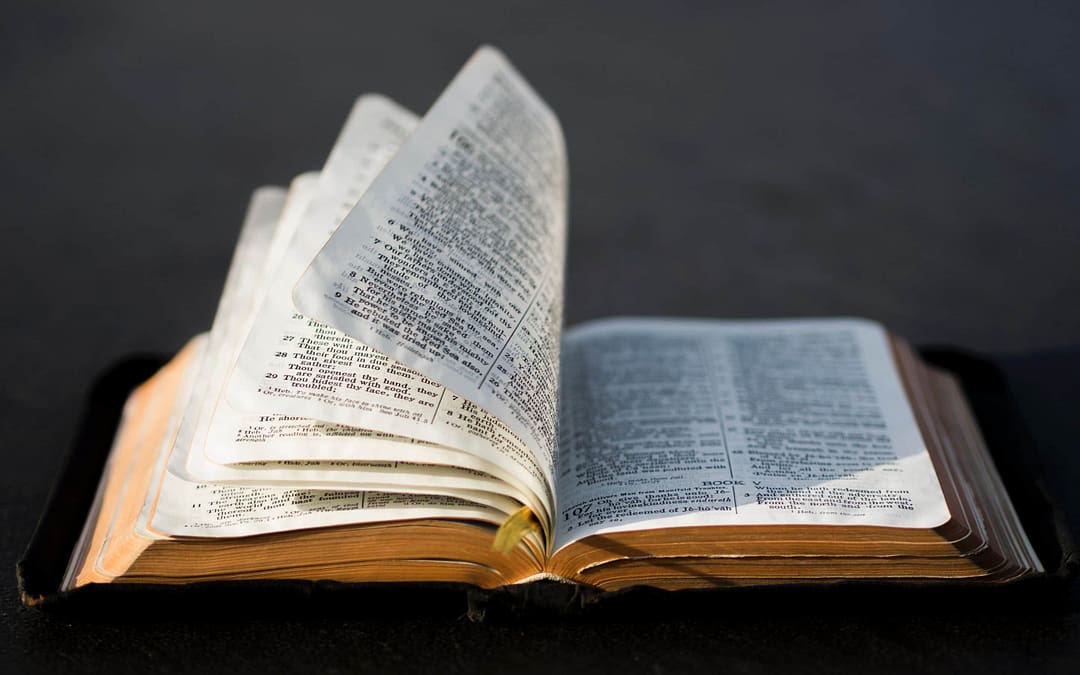 A Fresh Word for a Contemporary World
