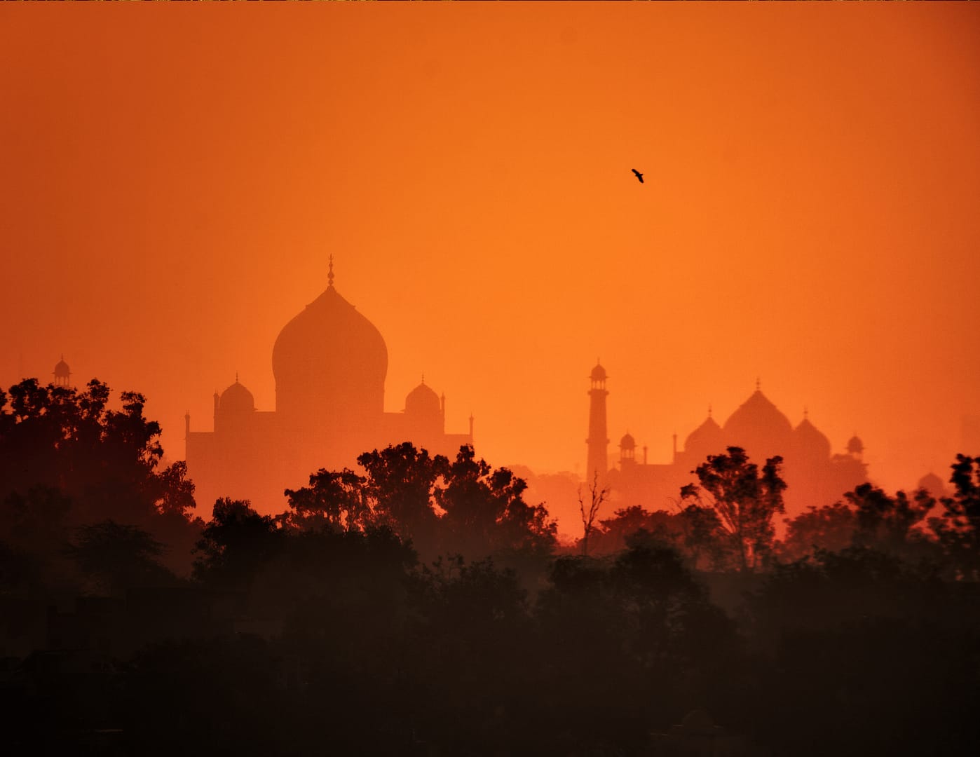India Trip