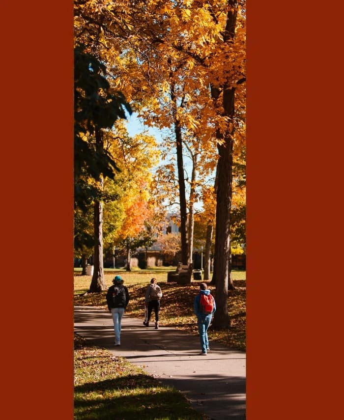 Anderson University campus