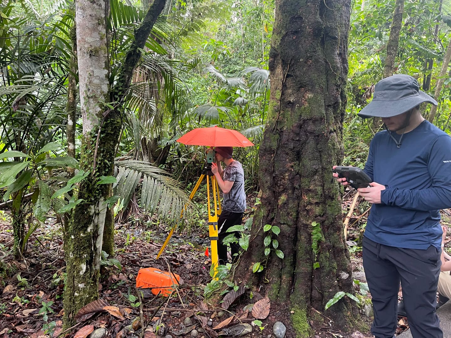 students are doing field work in a densely wooded area