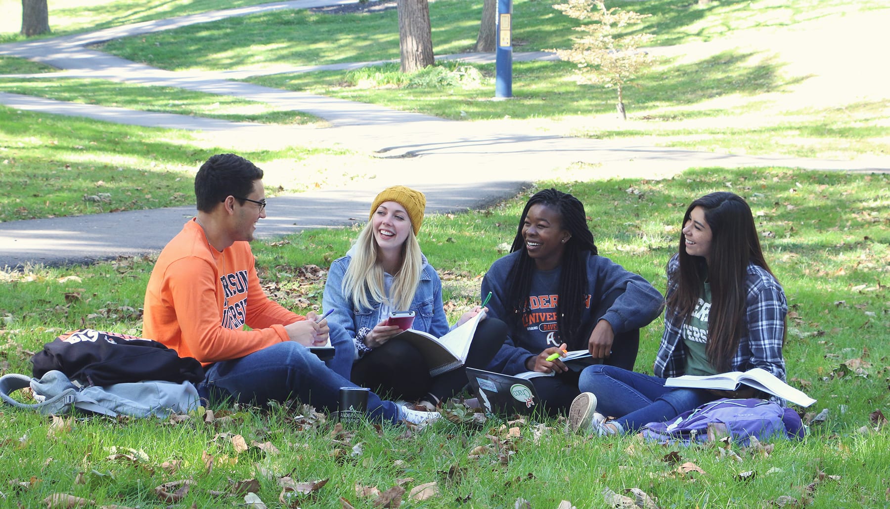 four students studying in the grass