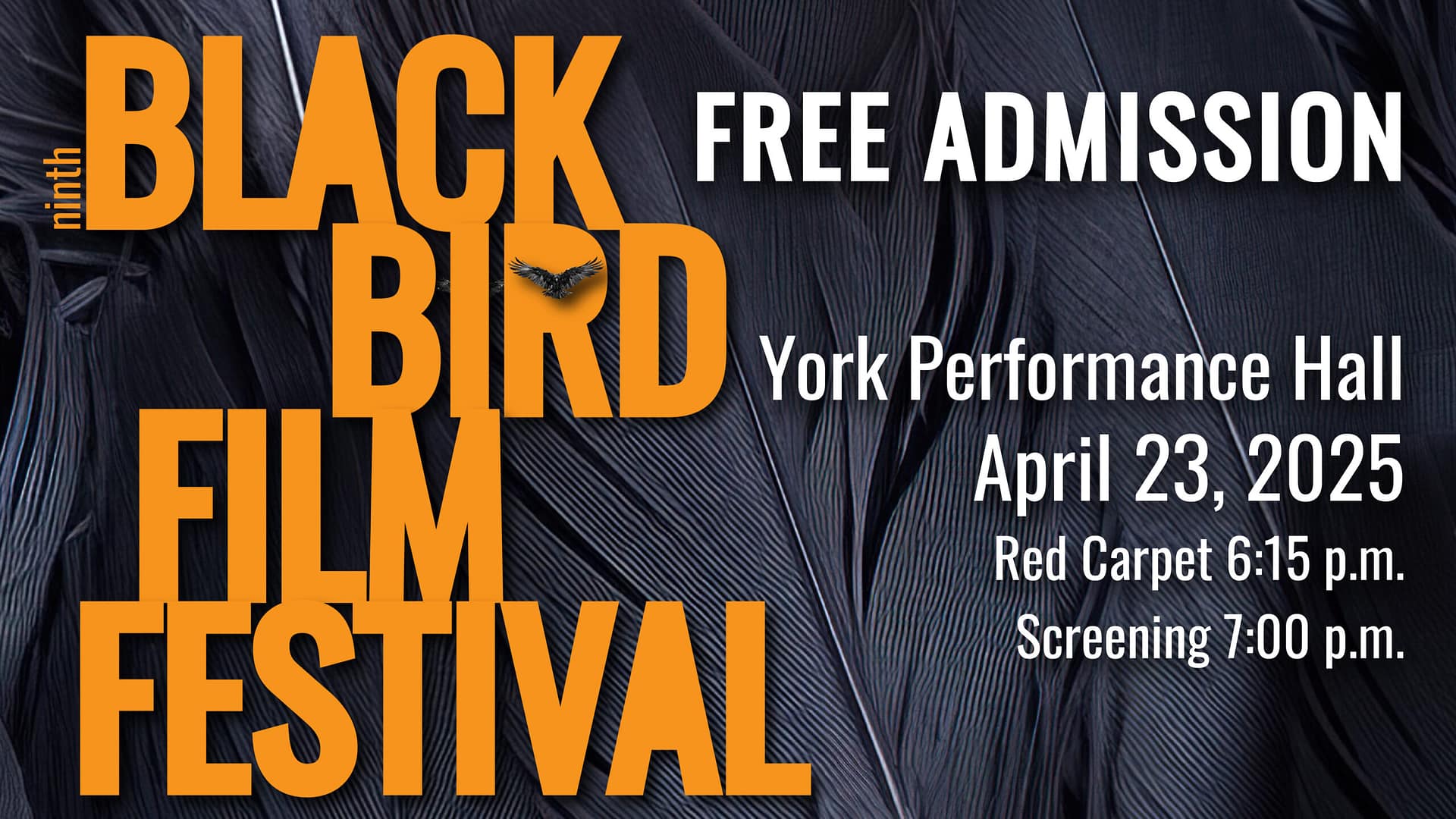 BBFF poster 25 16×9 v2-01 Black Bird Film Festival