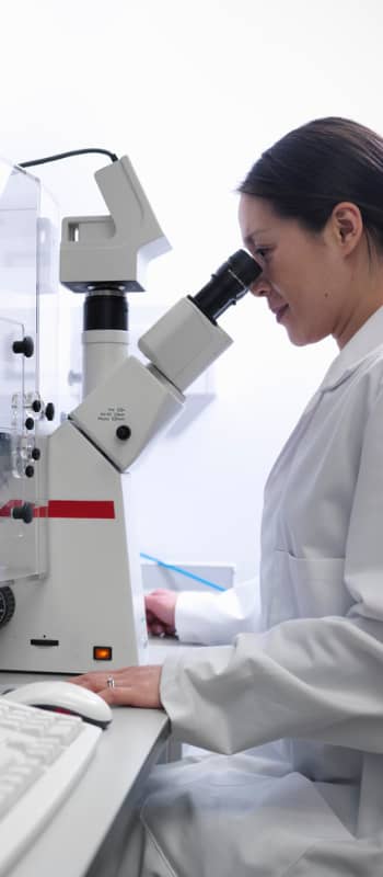 Biology Biology at Anderson University