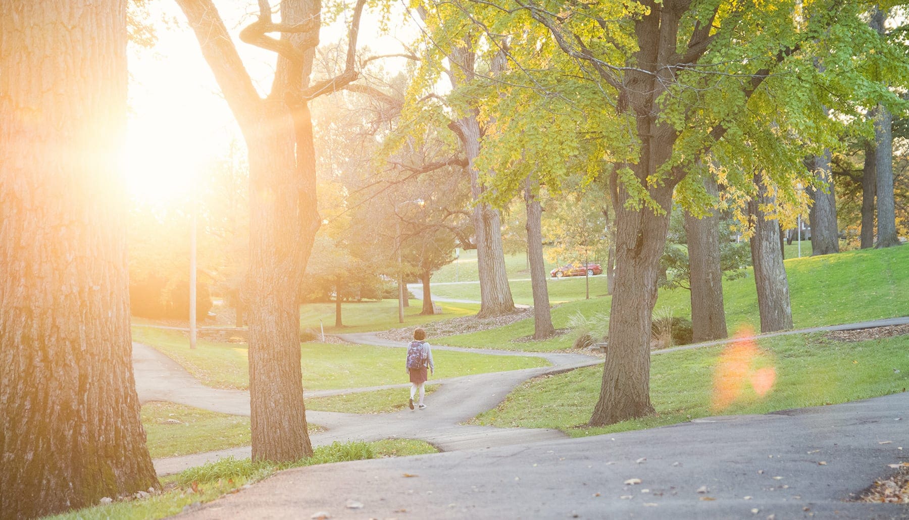 Anderson University Tuition & Fees - Anderson University